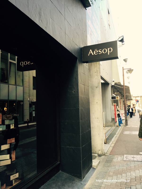 美観を超えて：「生」に美を見出す 生島国宜展 『ナンガーキャッチ＆リリース』