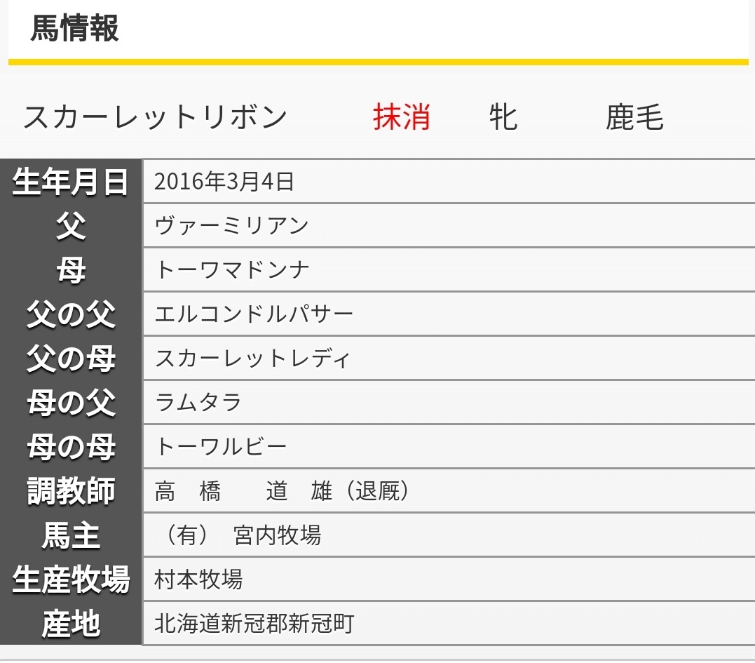 2022～2023まとめ】秋葉原エリア店舗・スポットの年末年始営業情報 | Akiba.TV