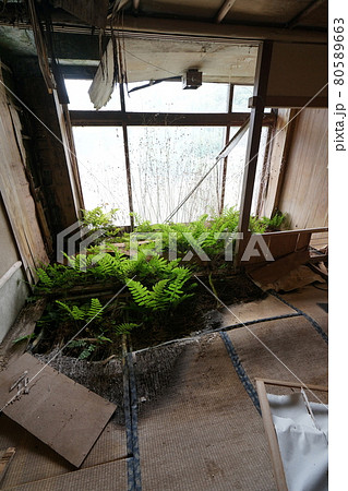 第3回 マニアのディープな世界：第3回 マニアのディープな世界：かもめの本棚 online