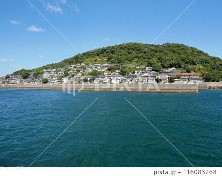 🏝️ 熊本県：湯島 上天草の猫島は観光客も少ない穴場的楽園だった！okamis