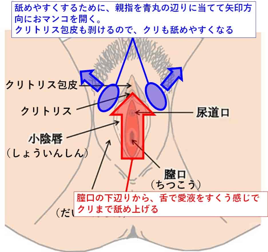 クンニリングスのやり方！上級クンニテク - 夜の保健室