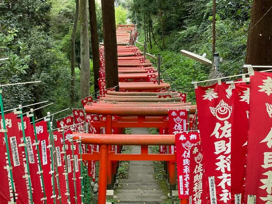 京都にある圧巻の鳥居が並ぶ伏見稲荷大社の秘密に迫る！お座敷体験 宴-UTAGE