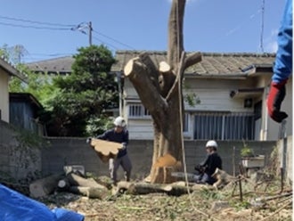 村山特殊車輌有限会社（東京都武蔵村山市 ）の配送ドライバー（正社員）の求人[23070]｜シン・ノルワークス