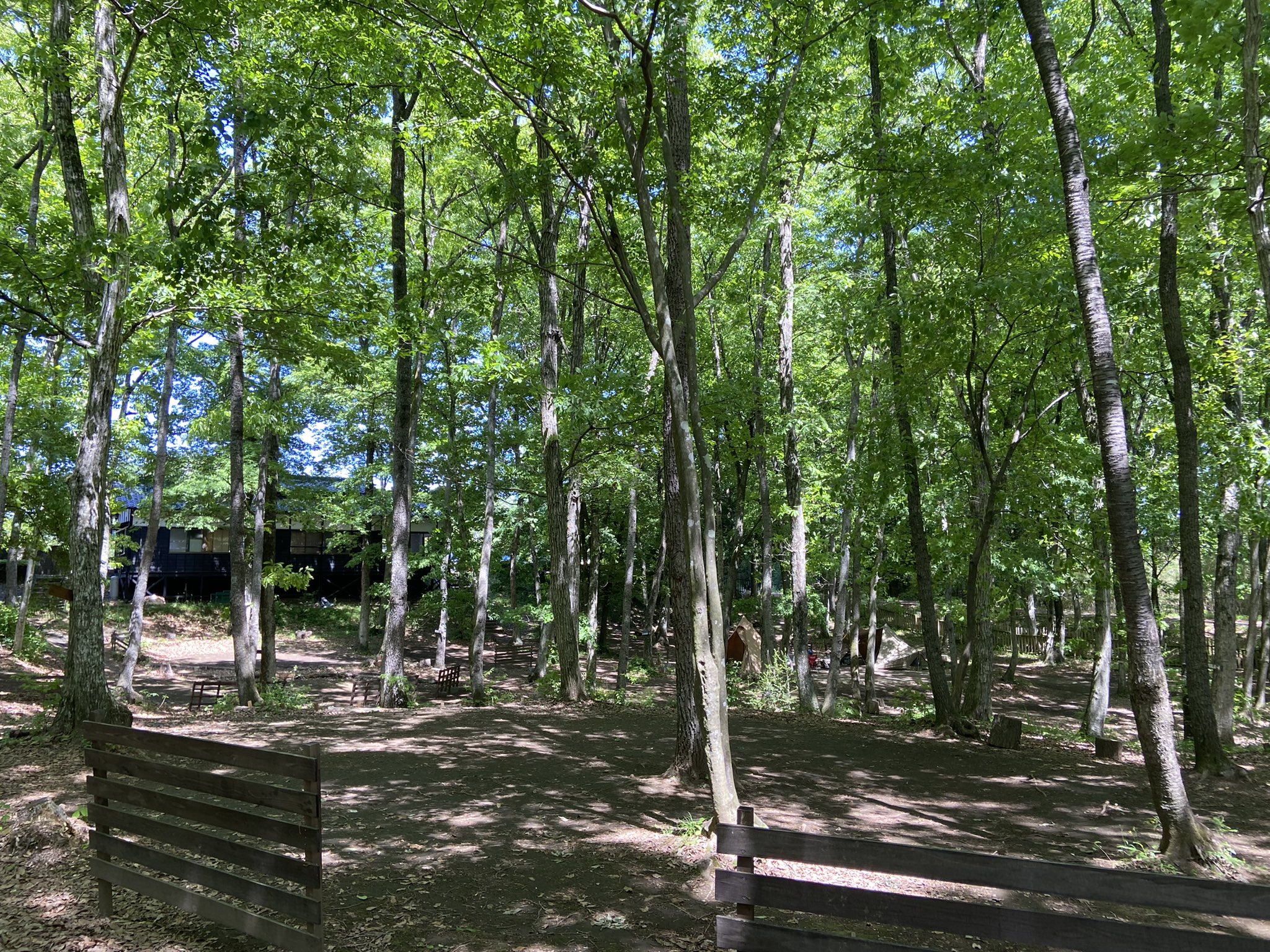 ゆうにんの初心者キャンプ日記: 202 フォレストピア七里の森②2021.12.30～31