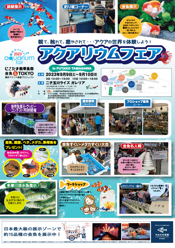 日常を豊かにする、自宅のようにくつろげるクラブ Aqua sports & spa