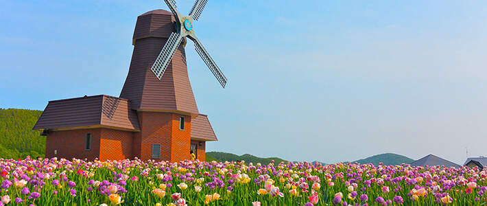 春の北海道を満喫しよう！絶景＆グルメ情報！写真工房ぱれっと北海道コラム