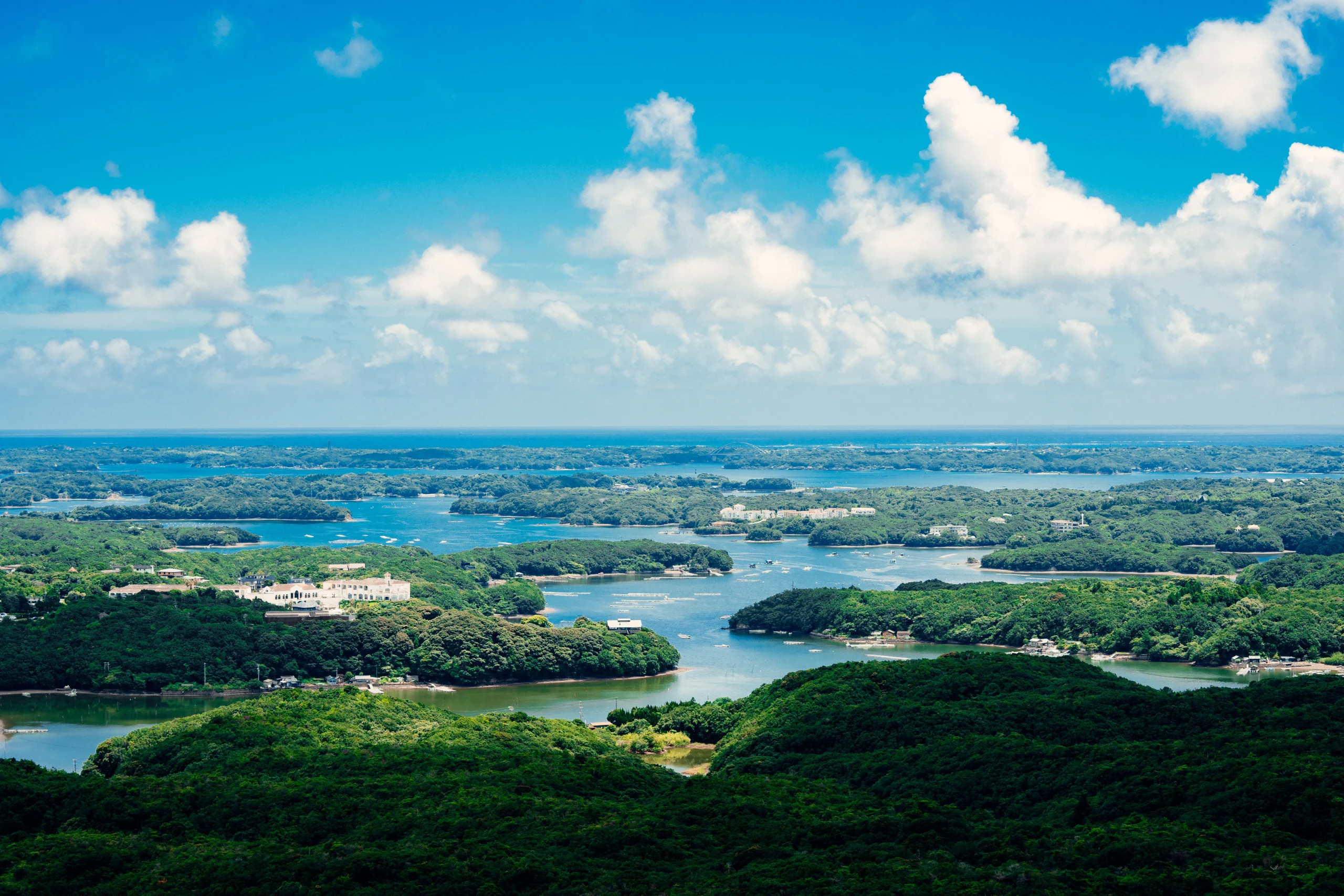 横山展望台周辺を散策 志摩市～伊勢志摩の旬を楽しむ親爺のブログ～