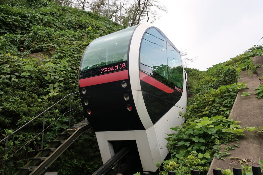 アスカルゴに乗ってきました！はやぶさこまち 観光列車ブログ