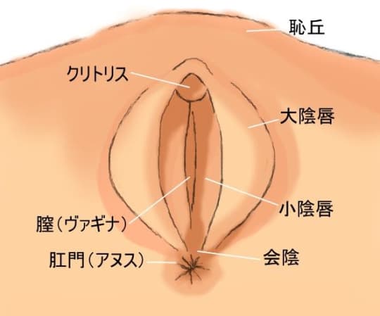 出会い系サイト】人妻を満足させるクンニのやり方を解説 | 人妻セフレをつくる出会い系ブログ『であであ』