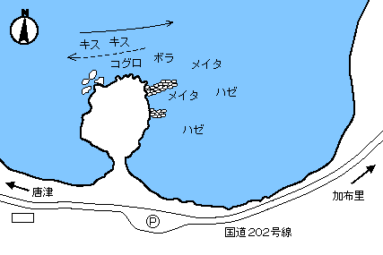箱島神社ってどんなところ？│糸島のおでかけスポットを紹介するよ