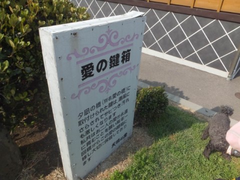 夕凪橋 多古安 - 朝潮橋 ふぐ食べログ