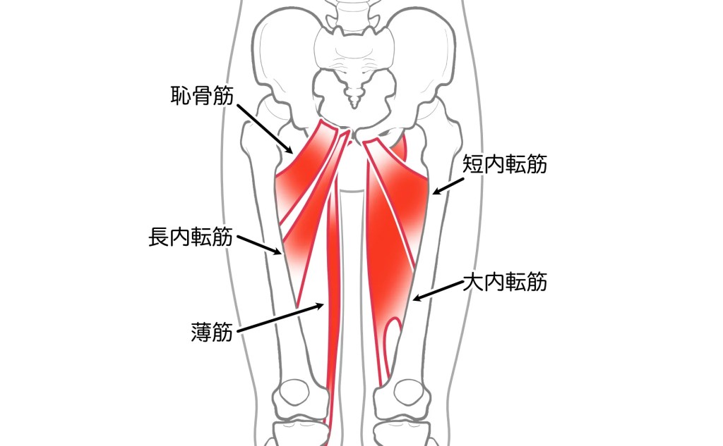 保存版】正常位のやり方や種類、コツを徹底解説。極めればセックスはもっと気持ちいい！ | antenna[アンテナ]