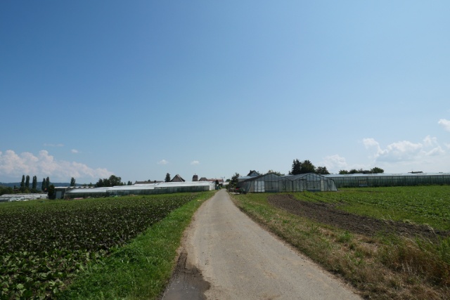 ライヒェナウ島 - hazimayo's blog きままにヨーロッパ