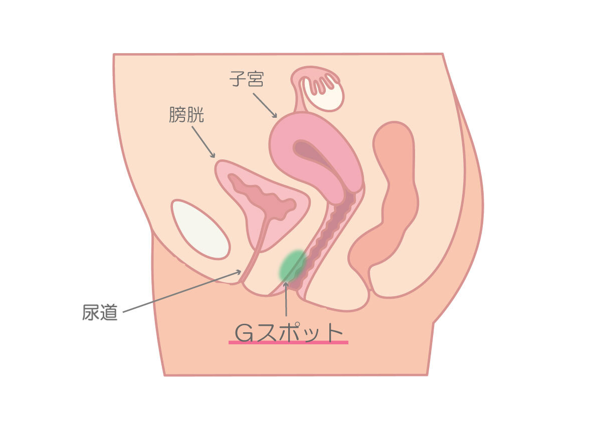 駿河屋 -【アダルト】<新品/中古>びちゃびちゃ潮吹きspecial 恥ずかしい場所で失禁お漏らし学園編