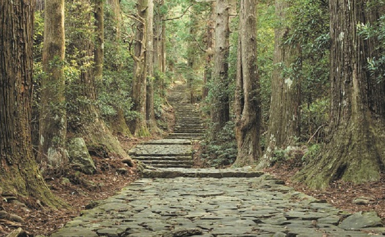 客室 公式サイト 勝浦ヒルトップホテル＆レジデンス千葉県南房総勝浦 コンドミニアム