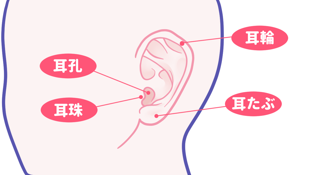 KU100/耳舐め】余裕と理性がゾリゾリ舐め取られる…♥超快感の耳舐めASMR♥【音圧、密閉感、密着囁き】EarCleaning,Earlicking,Mouthsound,힐링,귀  핥기,舔耳