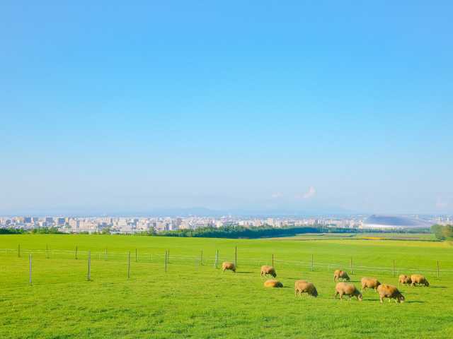 アクセスさっぽろ羊ヶ丘展望台公式WEBサイト