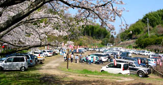 正福寺山公園 瀬戸内の景色と桜 - お茶にしよっ‼︎