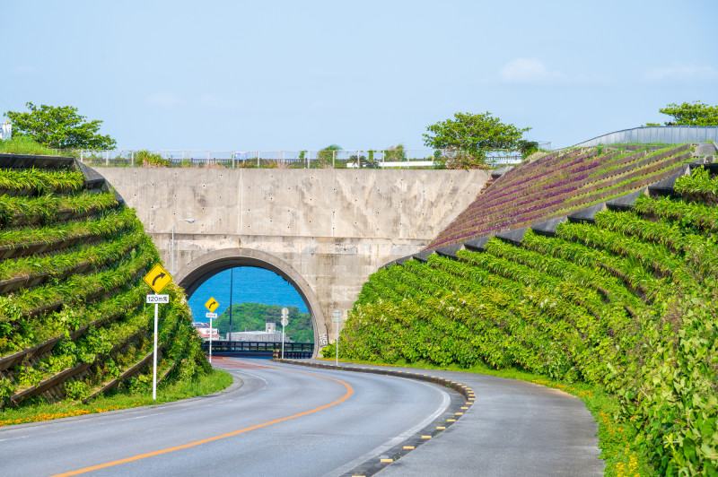Okinawa穴場夜景5選① あやはし AYAHASHI住所📍 沖縄県うるま市与那城屋平4 橋の長さ