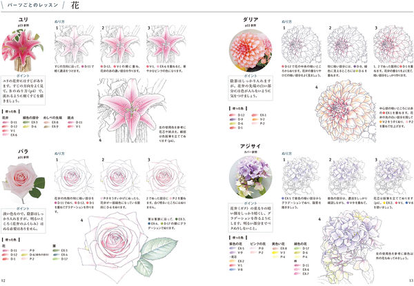 素敵な色えんぴつ画入門 著：河合ひとみ 日本文芸社の通販 by maru's