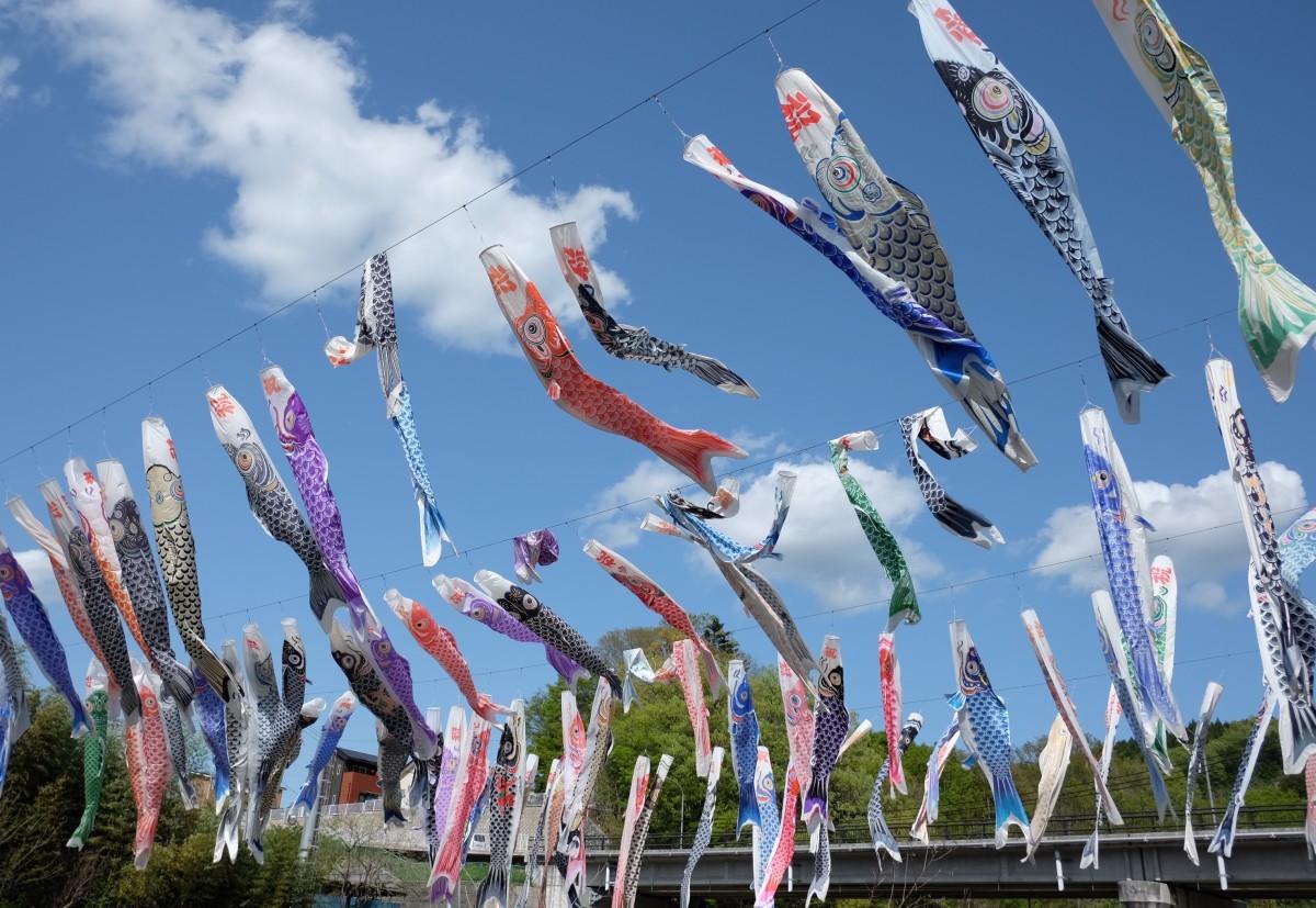 泳げ鯉のぼり相模川 クチコミ・アクセス・周辺情報相模原 -