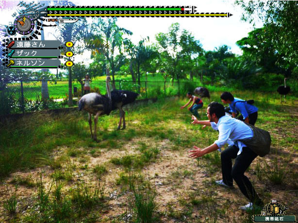 ダチョウの正しい乗り方レッスン？ダチョウも結構大変なんだカラパイア