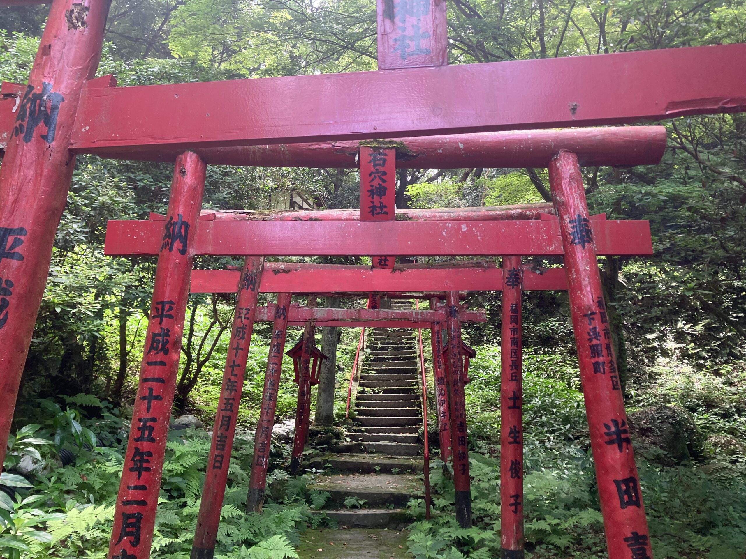 九州 パワースポットにおでかけ！運気の上がる神社33