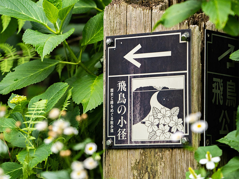 東京都ポタリング：飛鳥の小径 こみち でアジサイを見よう - nEST's