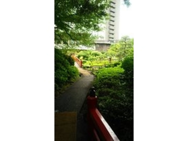 誰でも無料で入園できる！ホテルニューオータニ東京の日本庭園は疲れた心を癒す場所 oto- エキスパート - Yahoo!ニュース