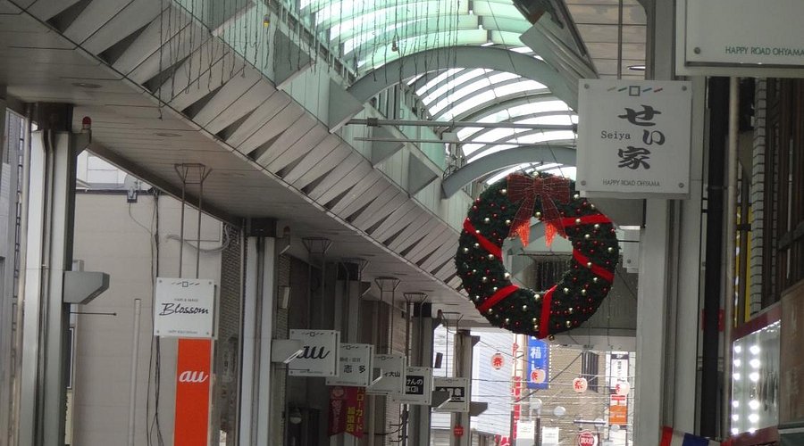 ライバル商店街が肩組みつくった「幸せ」が 春にも解体始まる大山商店街巨大アーケードに託した思い：東京新聞デジタル