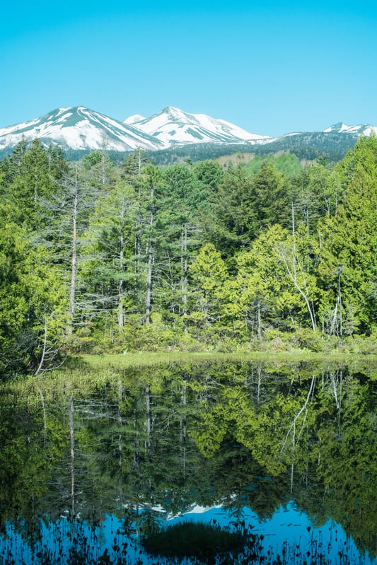乗鞍高原で散策するなら！女将がおすすめする散歩コース6選