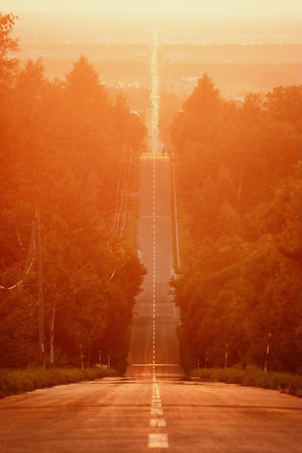 観光スポット 大崩海岸エキサイト用宗