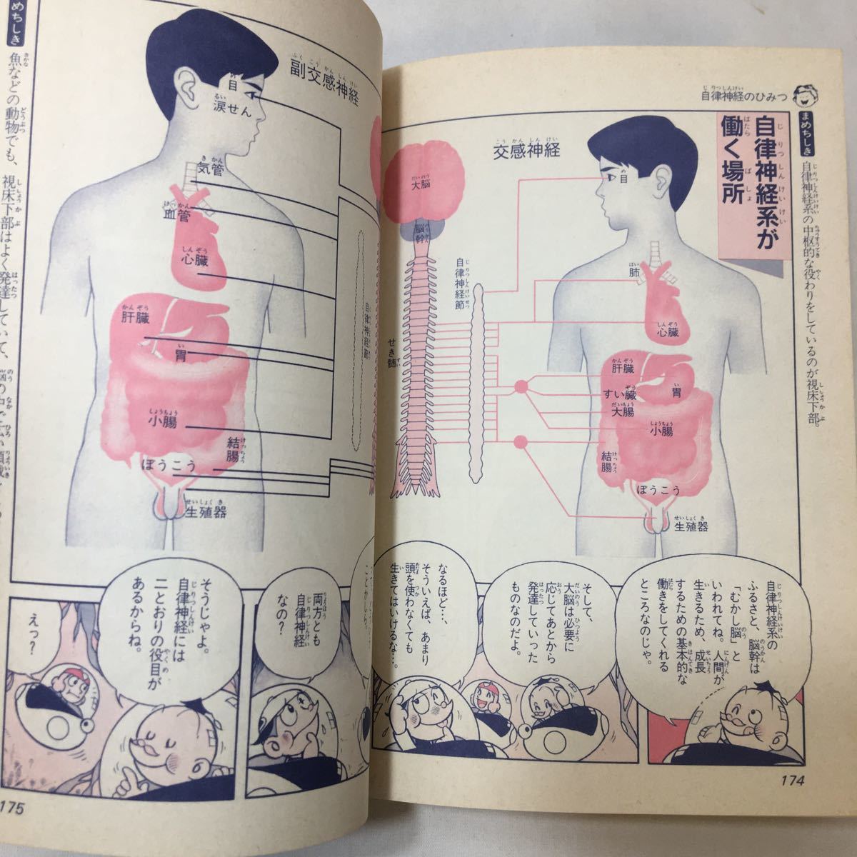 結腸責めって気持ちいいの？やり方やS字結腸の開発オナニーを解説｜風じゃマガジン