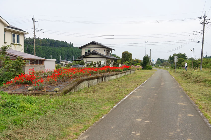 アイネの海岸物語（矢板市）：（最新料金：2025年）