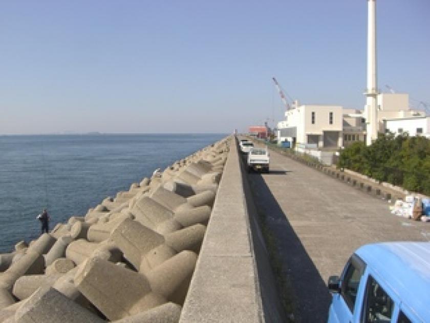 釣果一覧 貝塚人工島で釣れたカツオ -