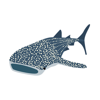 海遊館の顔博DENTSU LIVE