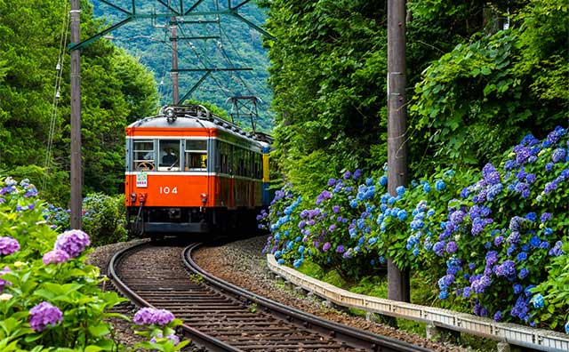 これは行きたくなる！関東近郊で一人旅するならぜひ選びたい場所16選aini magazine