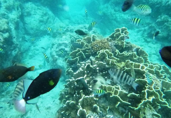 アクセスが便利なタモンの３大ビーチ