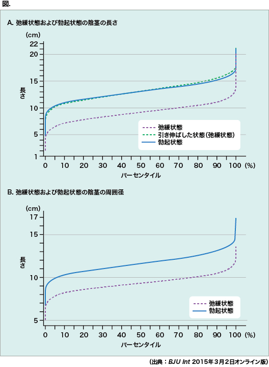 ペニスのサイズ（短小・巨根）について とある女性の意見 - TENGAヘルスケア