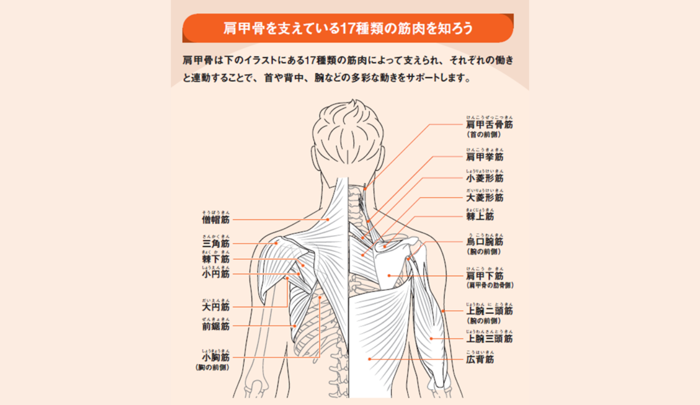 Amazon.co.jp: PROCEEDX漢字の検定合格 2、準２、３、4、5級対策 対義語 A2サイズ