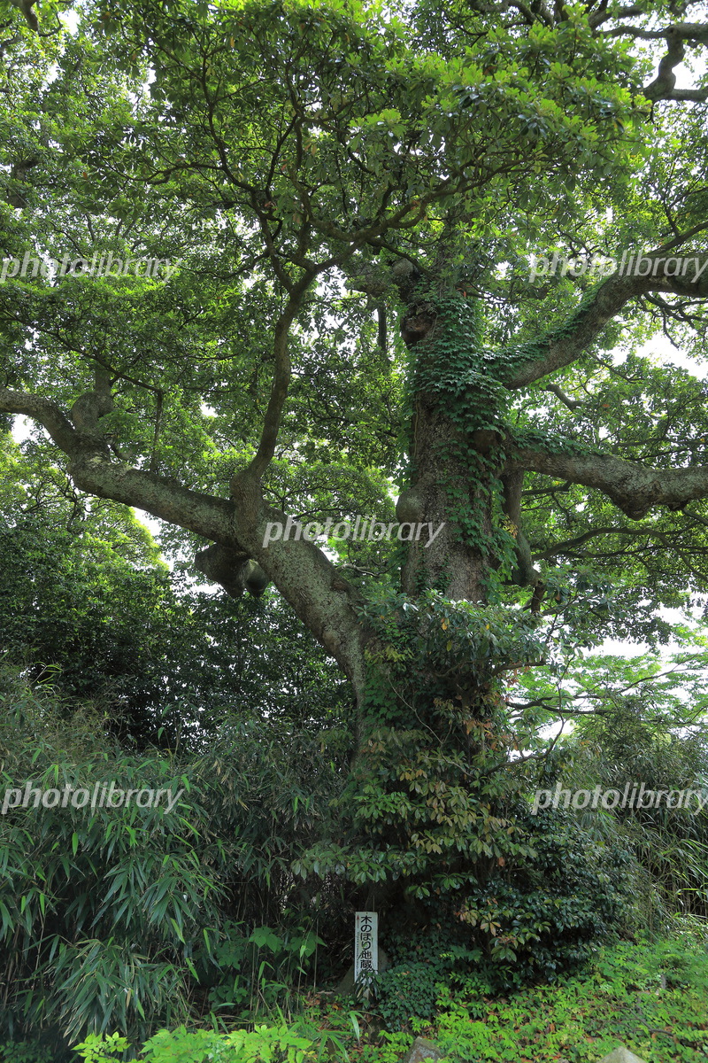 蚶満寺 - 景勝地・象潟に建つ古寺の七不思議
