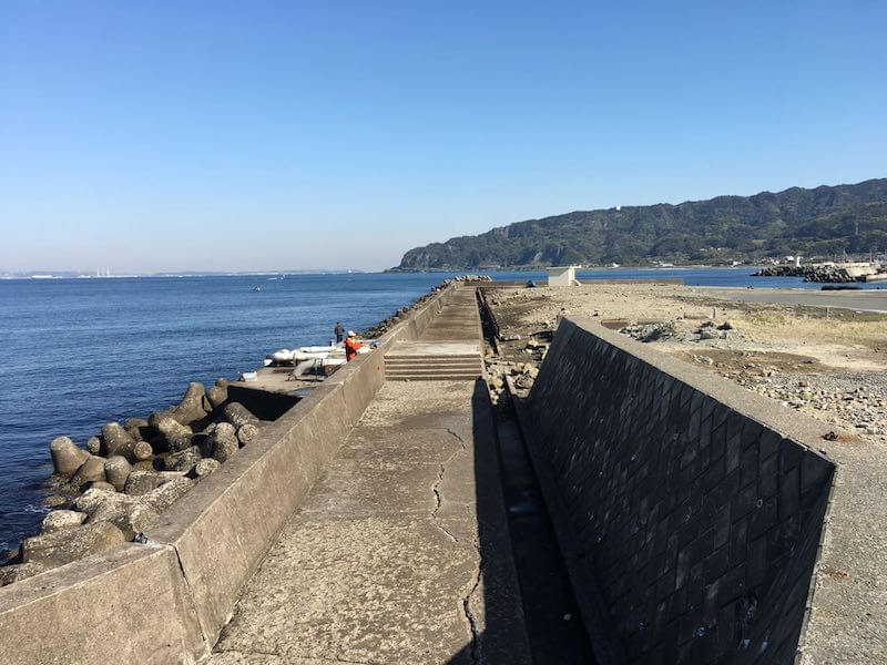 6月6日 金 の釣果保田港『国丸』