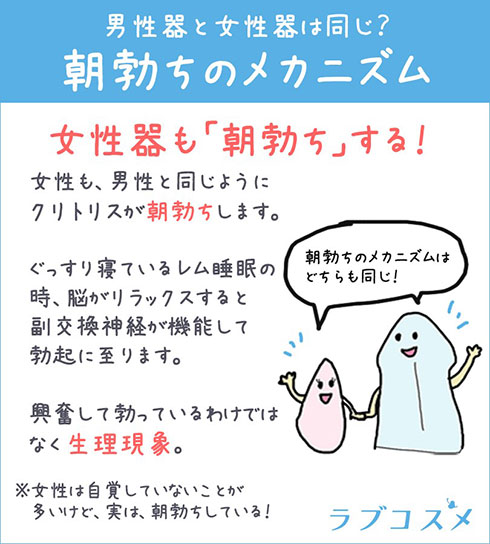 早漏卒業】亀頭オナニーのメリット3つ。オマケで包茎も治るかも｜あんしん通販コラム