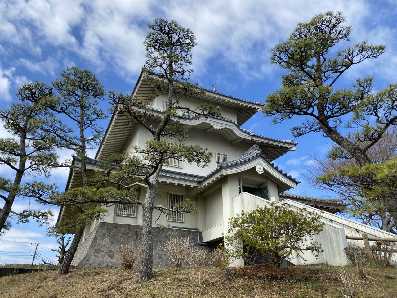 山県化学 PC 幕の内 9穴 2本取