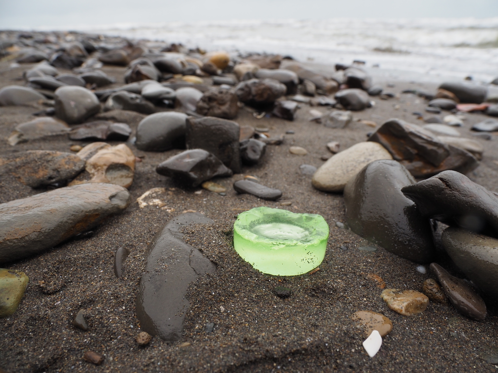 シー陶器 天然 北海道