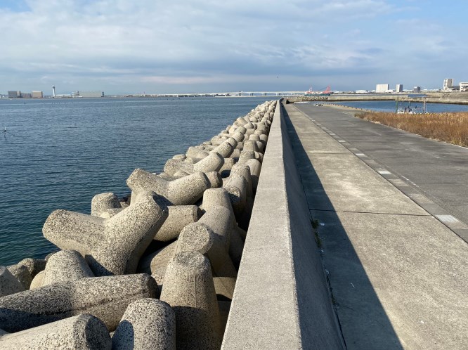 港の釣り 愛知県姫島漁港昨年釣り禁止になってから一年後は・ shorts