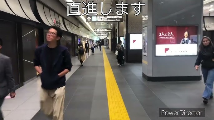 東京駅出発場所案内 外国語ツアーはとバス公式HP