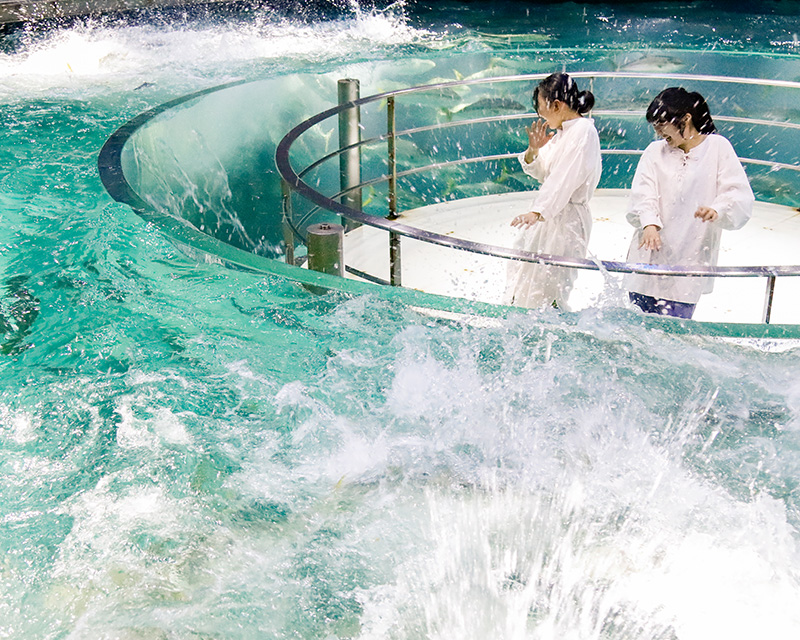 城崎マリンワールド クチコミ・アクセス・周辺情報豊岡 -