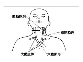 殿様枕症候群」 | 超高齢社会のリアル | 日本老友新聞