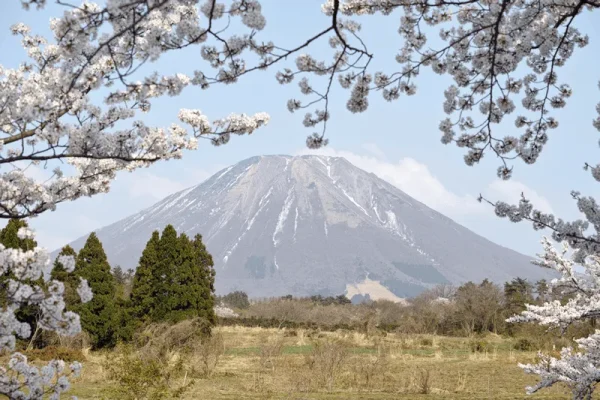 七夕さんにホタル観賞♪ とりネット 鳥取県公式サイト